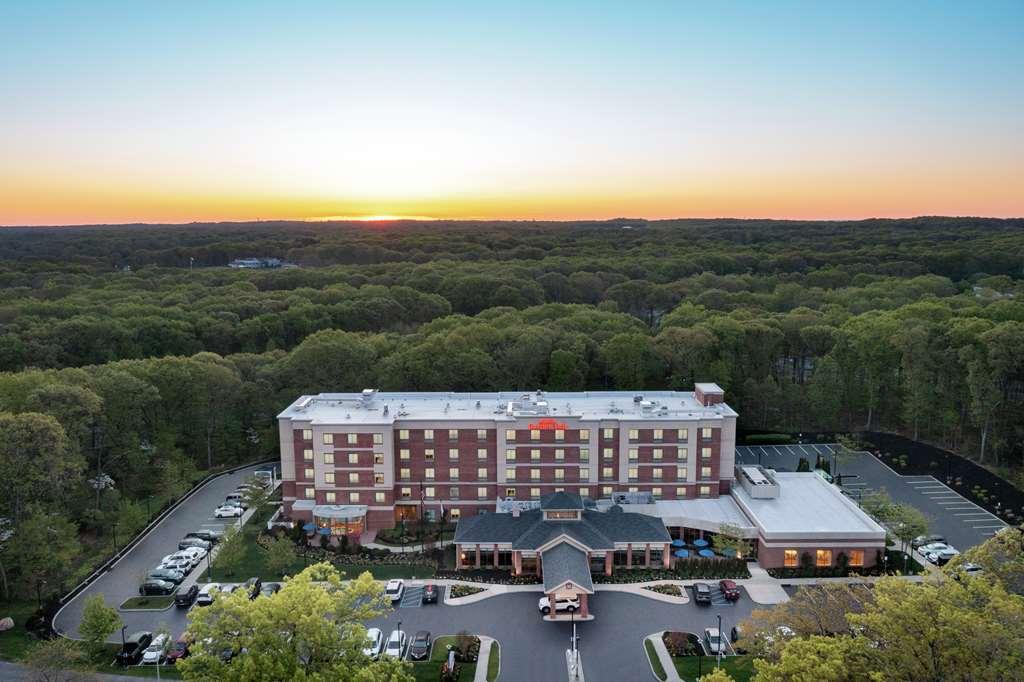 Hilton Garden Inn Tampa East Brandon Mango Exterior photo