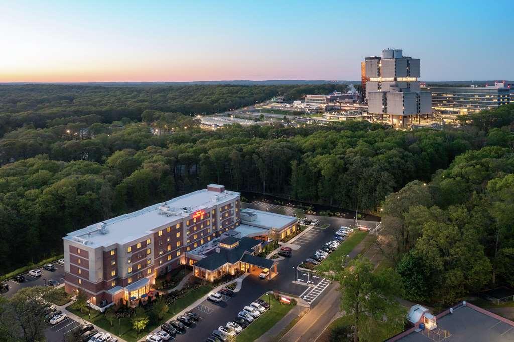 Hilton Garden Inn Tampa East Brandon Mango Exterior photo