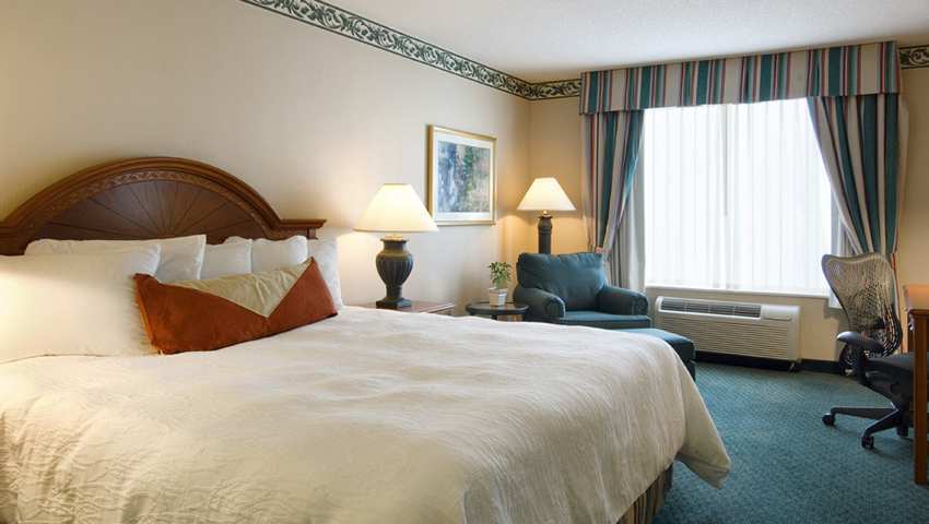 Hilton Garden Inn Tampa East Brandon Mango Room photo